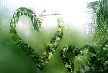 竞技宝JJB官网：三外援65分辽宁男篮战胜山东排名第四，浙江广厦瑟瑟发抖.