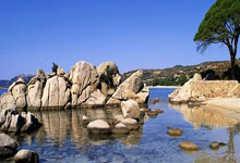 刘诗雯，有新身份：广东省乒乓球协会常务执行会长中国新闻网.